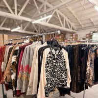 Paparazzi by Biz Friends & Family Sample Sale