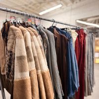 Paparazzi by Biz Friends & Family Sample Sale