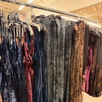 Paparazzi by Biz Friends & Family Sample Sale