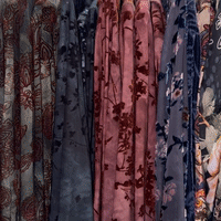 Paparazzi by Biz Holiday Sample Sale