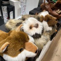 Dolce & Gabbana Private Sale