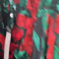 Alexandra Miro Sample Sale