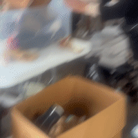 Steve Madden Sample Sale