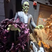 American Christmas Holiday Decoration Warehouse Sample Sale