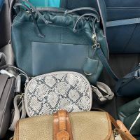 Radley Warehouse Sale